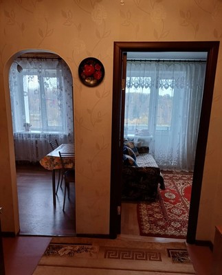 Продам однокомнатную (1-комн.) квартиру, Большой пр-кт, 6, Семрино п