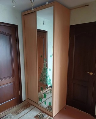Продам однокомнатную (1-комн.) квартиру, Большой пр-кт, 6, Семрино п