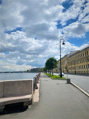 Продам однокомнатную (1-комн.) квартиру, Кадетская В.О. линия, 29, Санкт-Петербург г