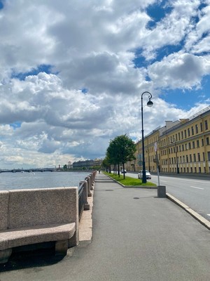 Продам однокомнатную (1-комн.) квартиру, Кадетская В.О. линия, 29, Санкт-Петербург г