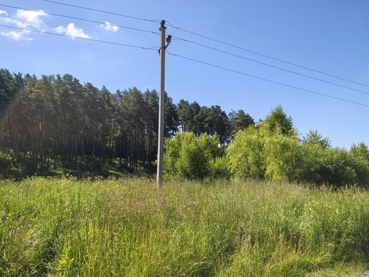 Продам участок 25 соток, ИЖС, ДНП Чеховское подворье тер, Покров д, 0 км от города