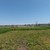 Продам дом, Октябрьская ул, 27, Привольный х, 0 км от города
