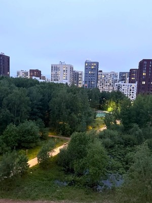 Продам трехкомнатную (3-комн.) квартиру, Скандинавский б-р, 23к2, Сосенское п