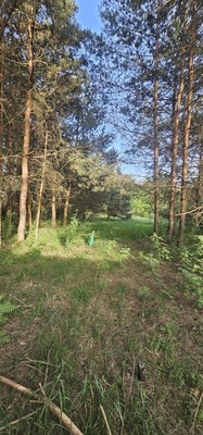 Продам участок 30 соток, ИЖС, Захарово д, 0 км от города