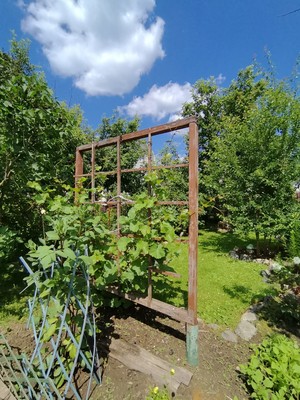 Продам дом, ДНП Дубрава тер, Мещерское п, 0 км от города