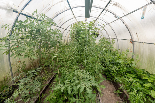 Продам дом, Новая ул, 22, Никоновское с, 0 км от города