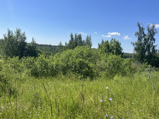 Продам участок 5,4 соток, Фермерское хоз., Безводное с, 0 км от города