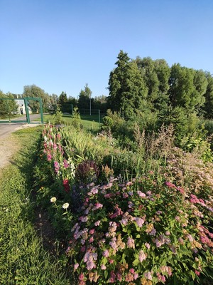 Продам дом, 120/10, Першино д, 0 км от города