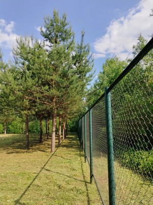 Продам участок 18,5 соток, ИЖС, Яблоневая ул, Прохорово д, 0 км от города