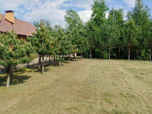 Продам участок 18,5 соток, ИЖС, Яблоневая ул, Прохорово д, 0 км от города