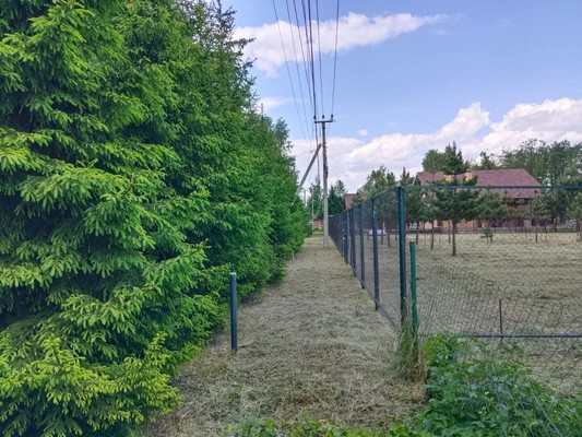 Продам участок 18,5 соток, ИЖС, Яблоневая ул, Прохорово д, 0 км от города