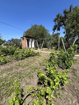 Продам дом, Орхидейная ул, 186, Азов г, 0 км от города
