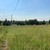 Продам участок 20 соток, ИЖС, Рыбаки д, 0 км от города