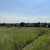 Продам участок 20 соток, ИЖС, Рыбаки д, 0 км от города