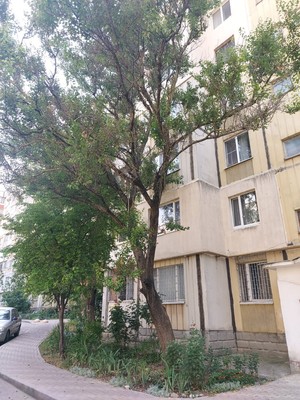 Продам двухкомнатную (2-комн.) квартиру, Дружбы ул, 62, Симферополь г