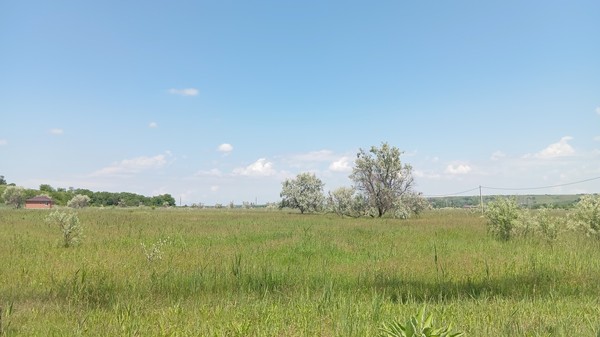 Продам участок 6 соток, ИЖС, Луч снт, Армавир г, 0 км от города
