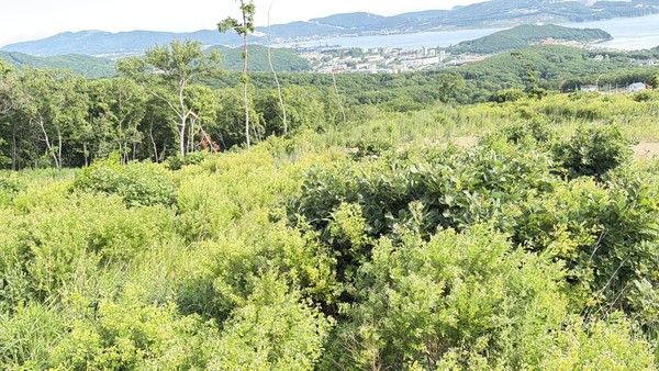 Продам участок 11,24 соток, ИЖС, поселок Врангель мкр, Находка г, 0 км от города