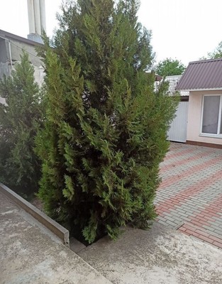 Продам дом, Сельвинского ул, Симферополь г, 0 км от города