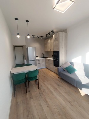 Продам однокомнатную (1-комн.) квартиру, Куприна пр-кт, 1к2, Сосенское п