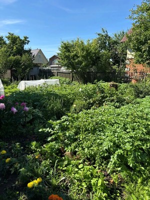 Продам дачу, Коммунальник снт, 6н/51, Йошкар-Ола г, 0 км от города