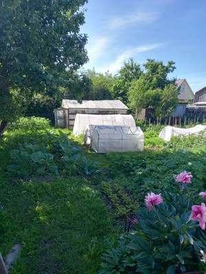 Продам дачу, Коммунальник снт, 6н/51, Йошкар-Ола г, 0 км от города
