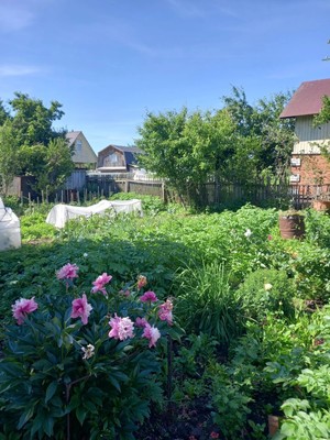Продам дачу, Коммунальник снт, 6н/51, Йошкар-Ола г, 0 км от города