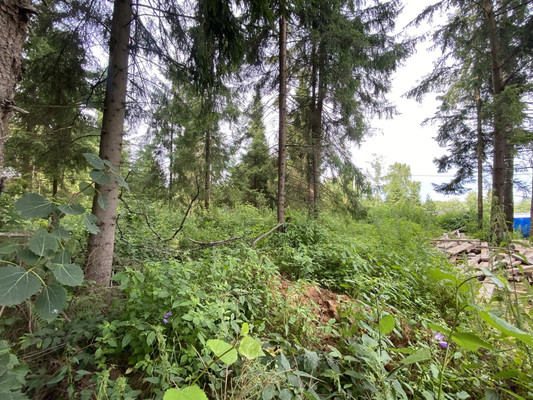 Продам участок 9 соток, Фермерское хоз., Садовая ул, Баранцево д, 0 км от города