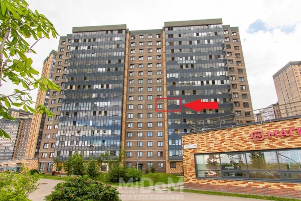 Продам однокомнатную (1-комн.) квартиру, Ленинградская ул, 38к1, Парголово п