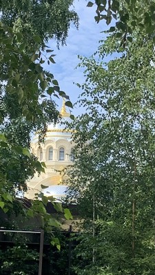 Продам комнату в 9-комн. квартире, Большой В.О. пр-кт, 96В, Санкт-Петербург г