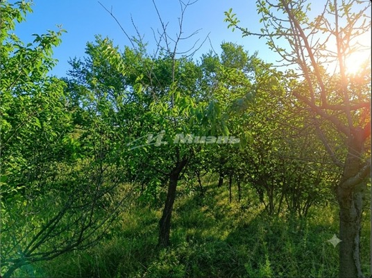 Продам дом, Земляне тер. СПК, 0 км от города