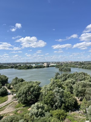 Продам однокомнатную (1-комн.) квартиру, Антонова ул, 5П, Пенза г