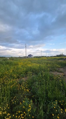 Продам участок 6 соток, ИЖС, Дальнее с, 0 км от города