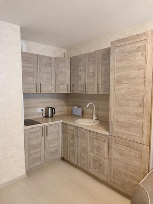 Продам однокомнатную (1-комн.) квартиру, Центральный (Купелинка мкр) кв-л, 3, Сапроново д