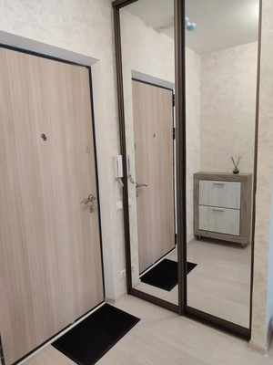 Продам однокомнатную (1-комн.) квартиру, Центральный (Купелинка мкр) кв-л, 3, Сапроново д