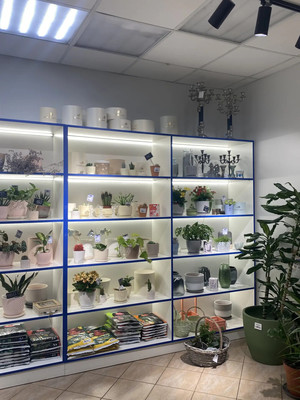 Продам торговое помещение 65,3 м2, Киевская ул, 30, Калининград г