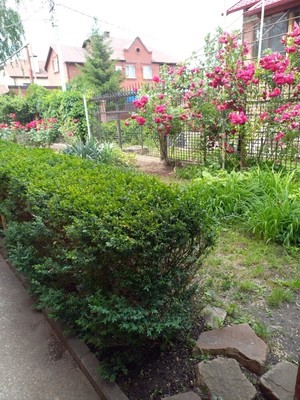 Продам коттедж, Платова ул, Волгодонск г, 0 км от города