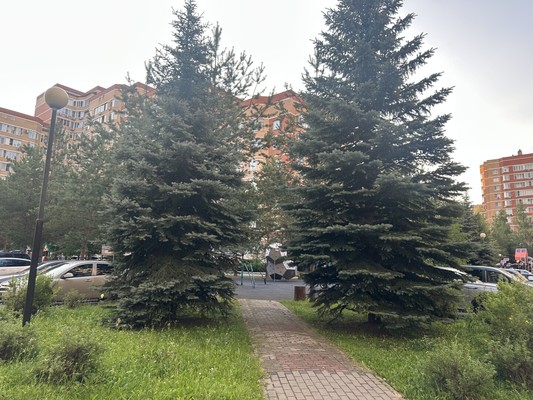 Продам двухкомнатную (2-комн.) квартиру, Родники мкр, 3, Знамя Октября п