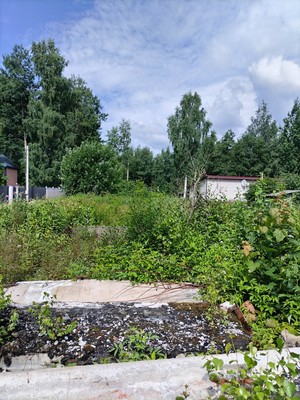 Продам участок 16,02 соток, ИЖС, Большие Пороги д, 0 км от города