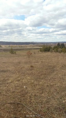 Продам участок 9 соток, ИЖС, Сосновая ул, Большакино д, 0 км от города