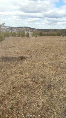 Продам участок 9 соток, ИЖС, Сосновая ул, Большакино д, 0 км от города