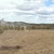 Продам участок 9 соток, ИЖС, Сосновая ул, Большакино д, 0 км от города
