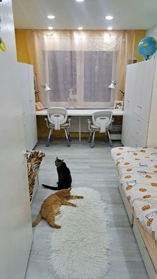 Продам трехкомнатную (3-комн.) квартиру, Красные Казармы ул, 67, Пермь г