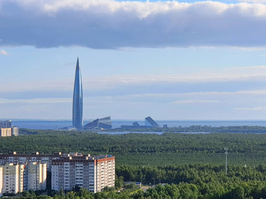Сдам однокомнатную (1-комн.) квартиру, Плесецкая ул, 10к1, Санкт-Петербург г