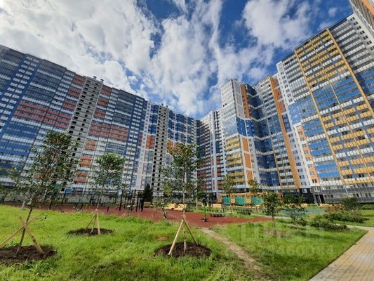 Сдам однокомнатную (1-комн.) квартиру, Плесецкая ул, 10к1, Санкт-Петербург г