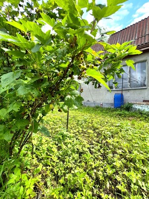 Продам дачу, 88, Лучинское д, 0 км от города