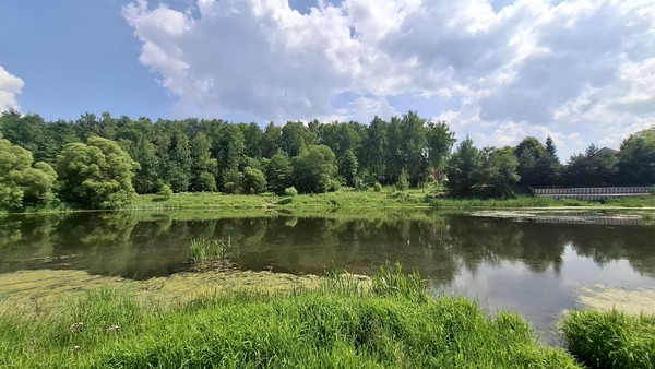 Продам участок 9 соток, ИЖС, Раздольная ул, 45, Хирино д, 0 км от города