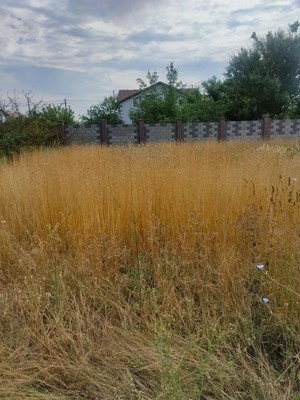 Продам участок 10 соток, ИЖС, Мира ул, Зуя пгт, 0 км от города
