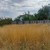 Продам участок 10 соток, ИЖС, Мира ул, Зуя пгт, 0 км от города