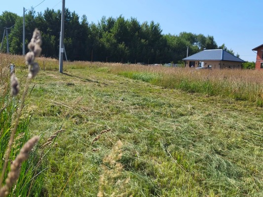 Продам участок 6 соток, ИЖС, Заря ул, Сокуры с, 0 км от города