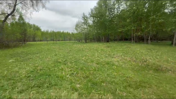 Продам землю для коммерческого использования 245 соток, Фермерское хоз., Новики д